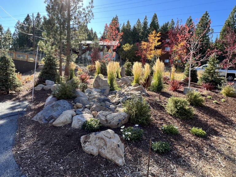 Alder Creek Front Yard and Back Yard